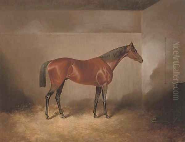 A bay hunter in a stable Oil Painting by James Scott Kinnear