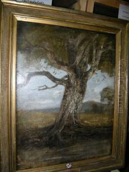 The Old Beech Oil Painting by John Crome