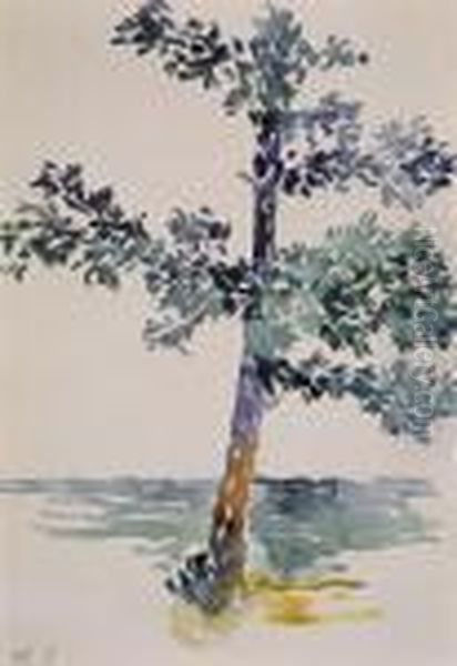 L'arbre Oil Painting by Henri Edmond Cross