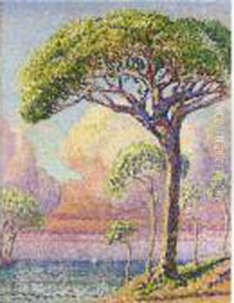 Un Pin Oil Painting by Henri Edmond Cross