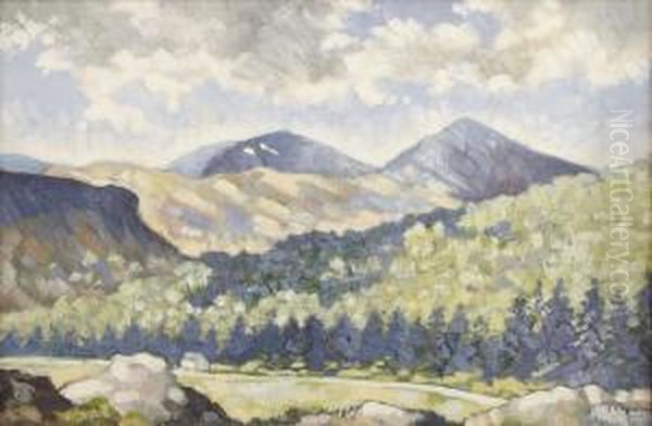 Fir Trees And Mountains Oil Painting by William Cruickshank