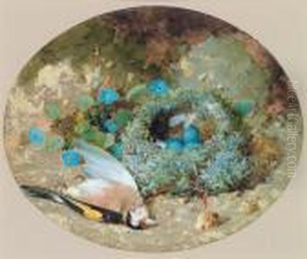 Ein Distelfink Neben Seinem Nest Oil Painting by William Cruickshank