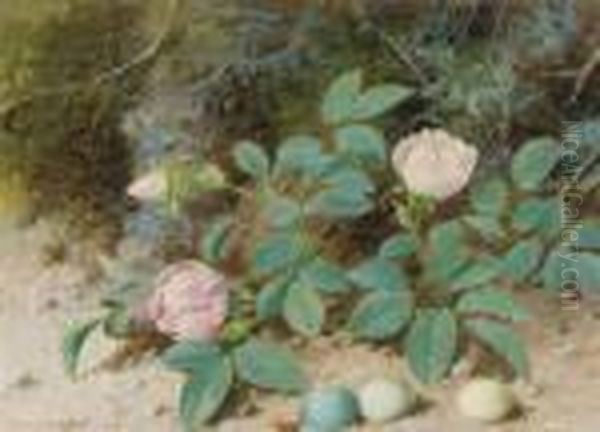 Pink Roses On A Mossy Bank Oil Painting by William Cruickshank