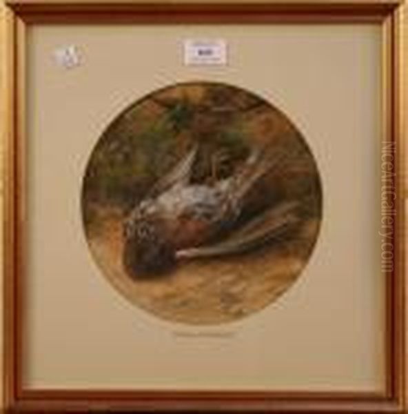 Tondo Study Of A Fallen Bird Oil Painting by William Cruickshank