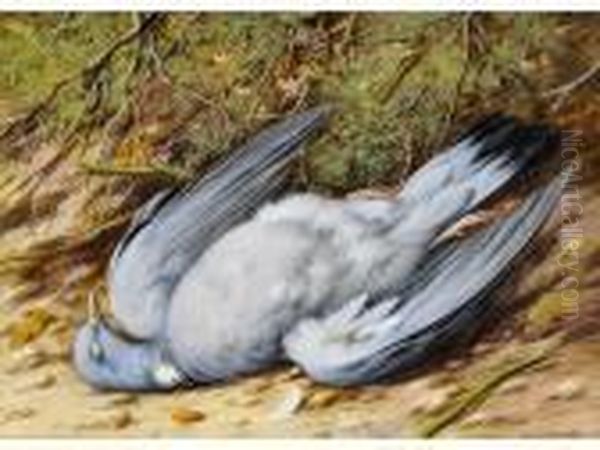 Still Life -a Dead Woodpigeon Oil Painting by William Cruickshank