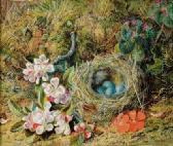 Still Life With Robin's Nest And Flowers Oil Painting by William Cruickshank