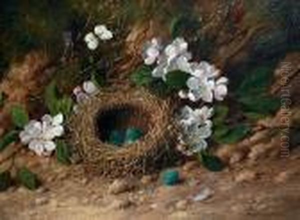 Still Life Of A Bird's Nest And Flowers On A Bank Oil Painting by William Cruickshank