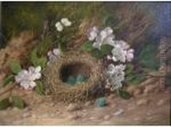 Birds Nestsurrounded By Apple Blossom Oil Painting by William Cruickshank