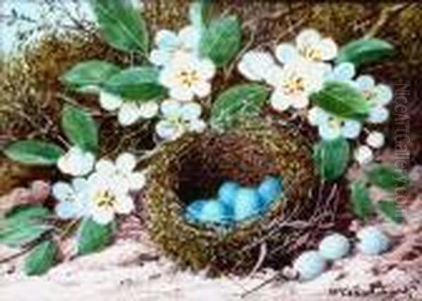 Still Life Of Birds Nest And 
Blossom On A Mossy Bank; Still Life Of A Pigeon, A Pair; And Another Of 
Partridge And Flask On A Table Top Oil Painting by William Cruickshank