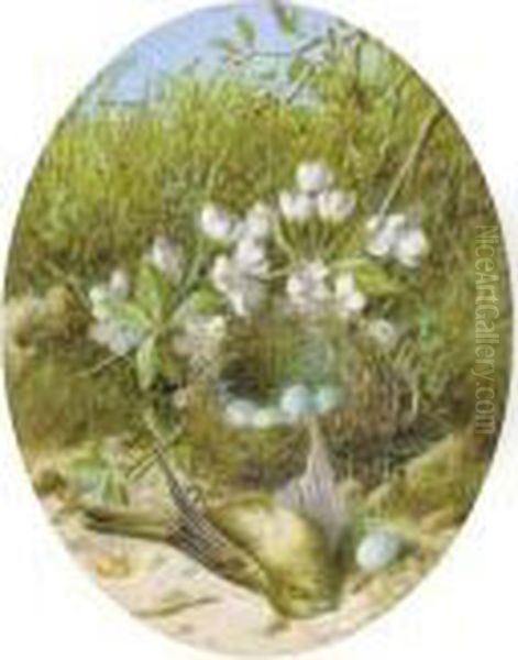 Still Life Of Apple Blossom, A 
Bird's Nest And Eggs; And Still Life Of Blossom, A Bird And A Bird's 
Nest Oil Painting by William Cruickshank