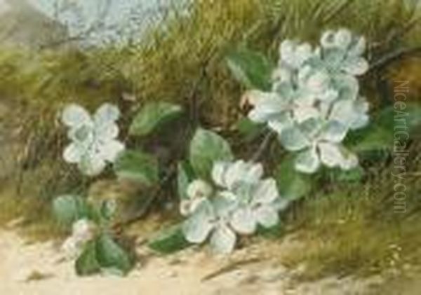 Blossom Oil Painting by William Cruickshank