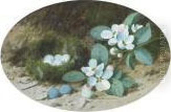 Apple Blossom And A Bird's Nest On A Mossy Bank Oil Painting by William Cruickshank