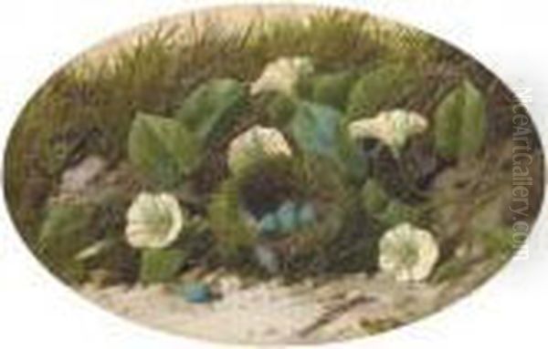 Convolvulus And A Bird's Nest On A Mossy Bank Oil Painting by William Cruickshank