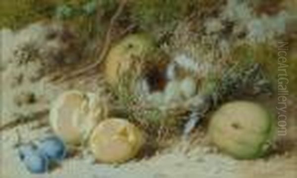 'bird's Nest With Eggs And Fruit Beneath A Mossy Bank' Oil Painting by William Cruickshank