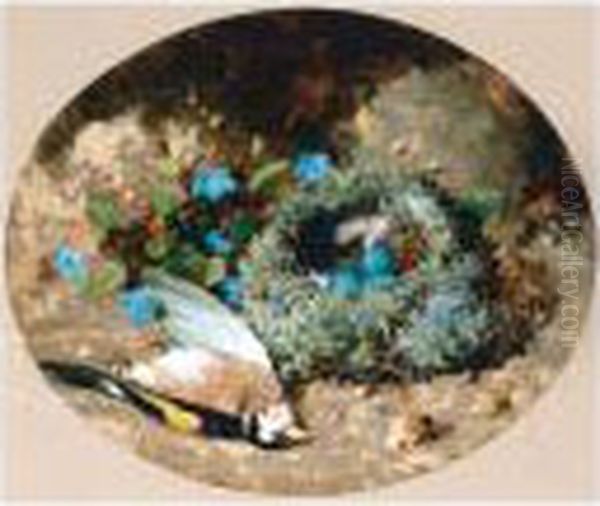 Goldfinch And Nest Oil Painting by William Cruickshank