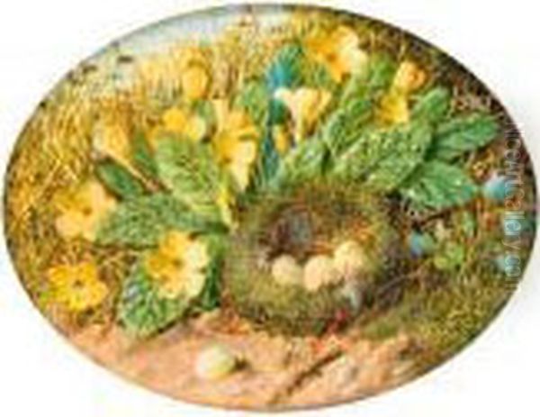 Primroses, Hairbells And A 
Bird's Nest On A Mossy Bank; And Abird's Nest, Apple Blossom And A 
Chaffinch On A Mossy Bank Oil Painting by William Cruickshank