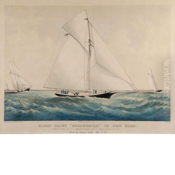 Sloop Yacht 