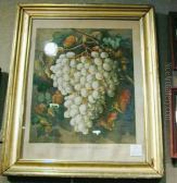 First Premium Grapes Oil Painting by Currier & Ives Publishers