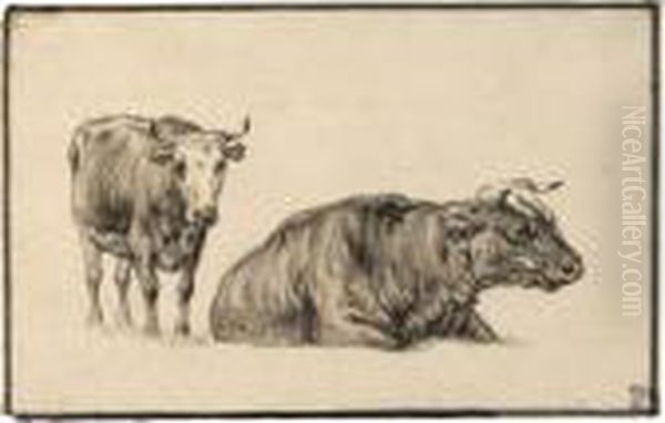 Study Of Two Cows Oil Painting by Aelbert Cuyp