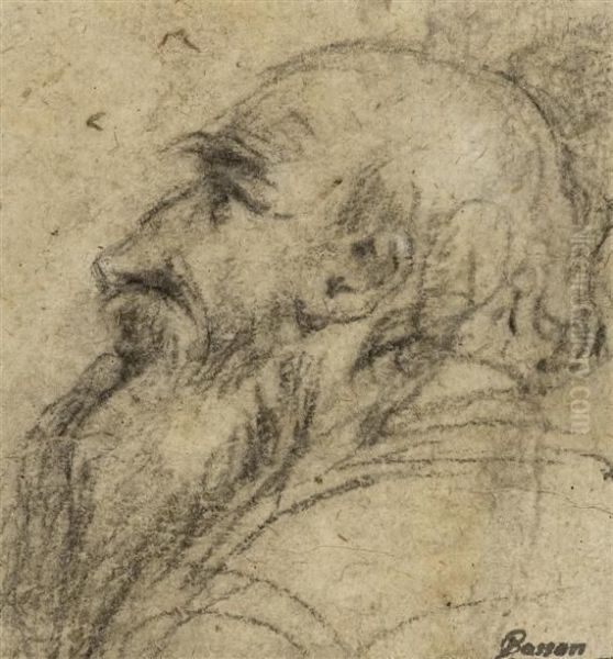 Study Of A Bearded Manin Profile To The Left Oil Painting by Jacopo Bassano (Jacopo da Ponte)