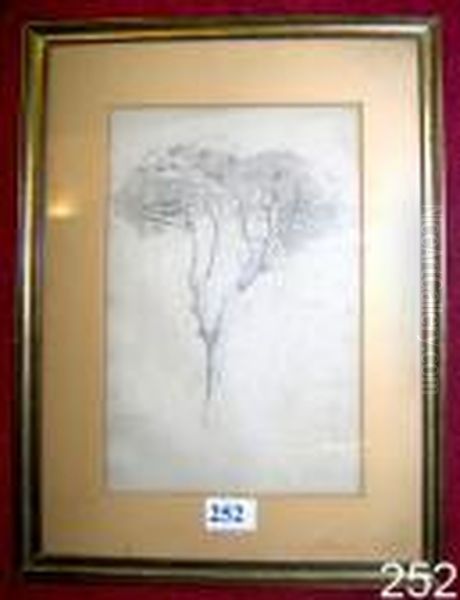 Albero. Oil Painting by Edoardo Dalbono