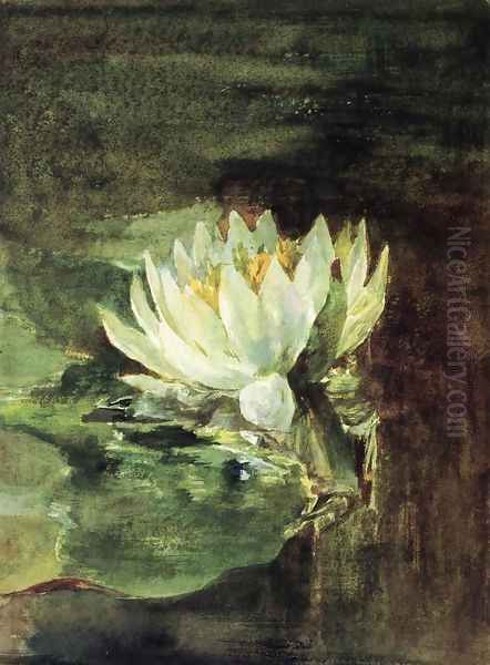 Single Water Lily In Sunlight Oil Painting by John La Farge