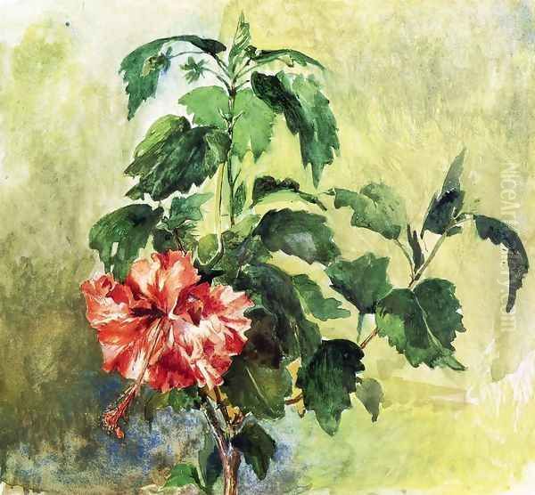 The Hibiscus Tahiti Society Islands 1891 Oil Painting by John La Farge