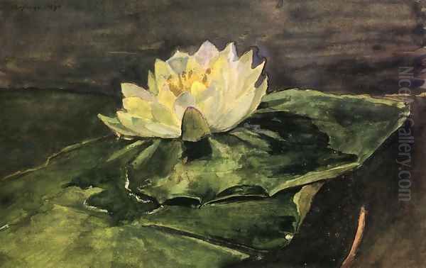 Water Lily Oil Painting by John La Farge