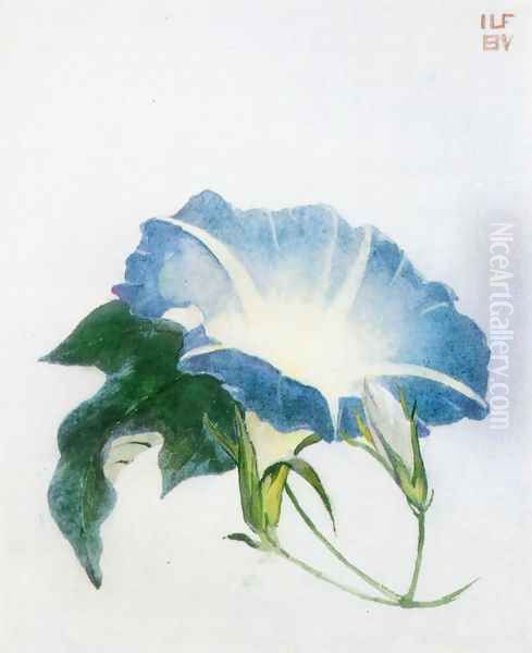 Ipomoea Aka Morning Glory Oil Painting by John La Farge