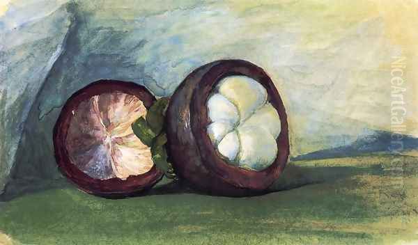 Fruit Of The Mangosteen Java Oil Painting by John La Farge