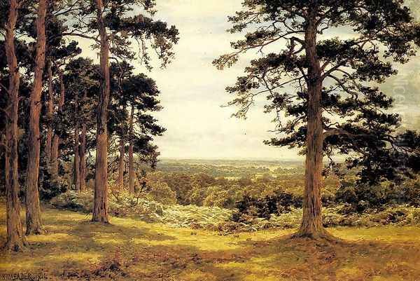 A Peep Through The Pines Oil Painting by Benjamin Williams Leader