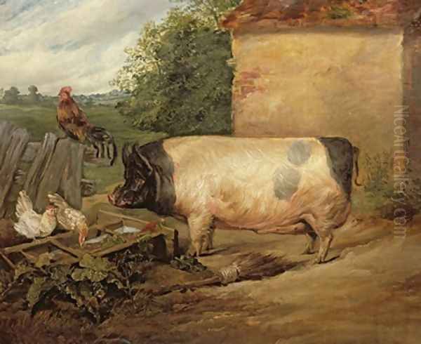 Portrait of a prize pig property of Squire Weston of Essex Oil Painting by Sir Edwin Henry Landseer