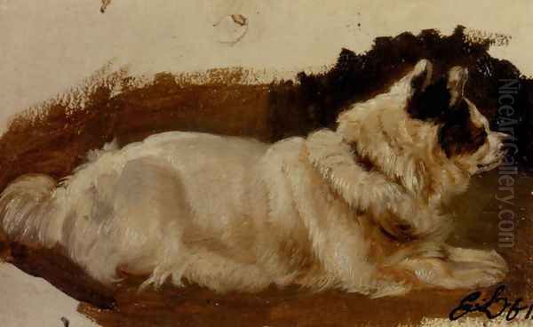 Study Of A Chow Oil Painting by Sir Edwin Henry Landseer