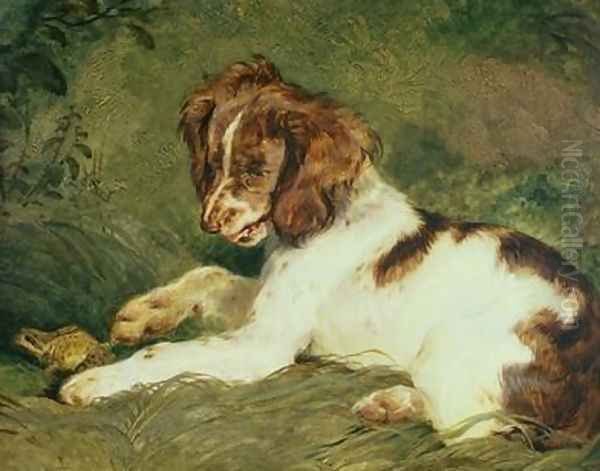 A Puppy teasing a Frog Oil Painting by Sir Edwin Henry Landseer