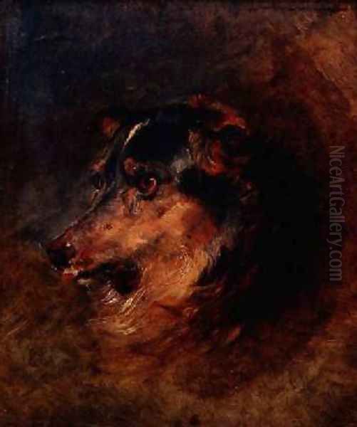 A Head Study of a Collie Dog Oil Painting by Sir Edwin Henry Landseer