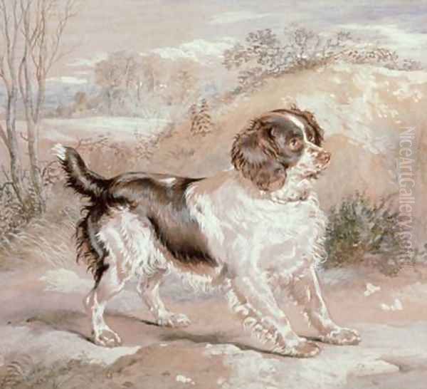 A Spaniel Oil Painting by Sir Edwin Henry Landseer