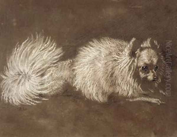 A Pomeranian Dog Oil Painting by Sir Edwin Henry Landseer