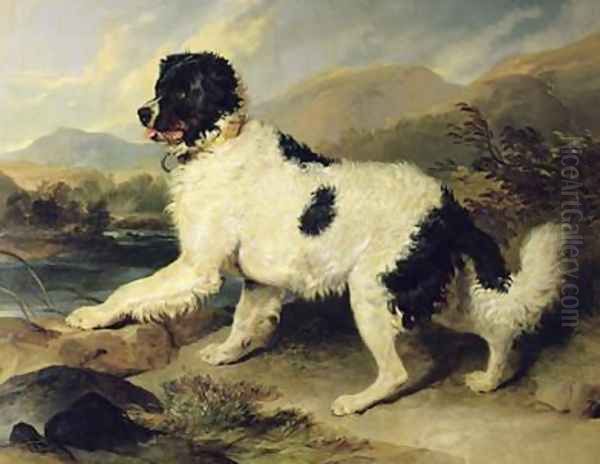 Newfoundland Dog Called Lion Oil Painting by Sir Edwin Henry Landseer