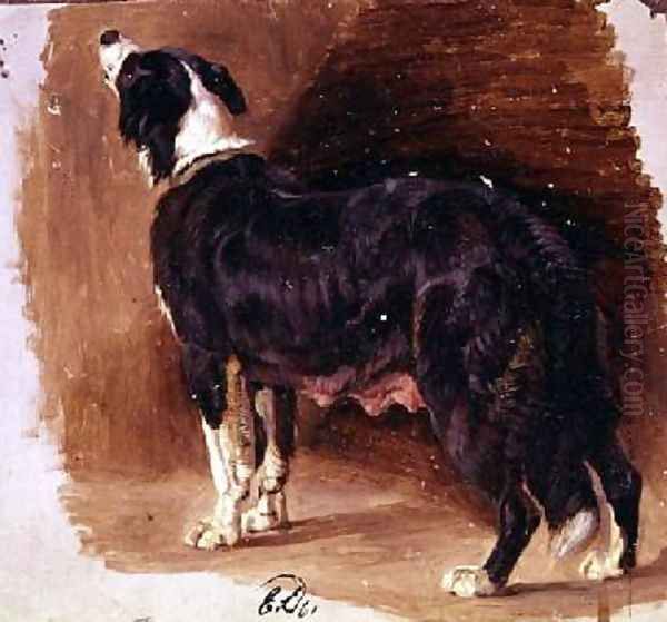 Sketch of a Collie Oil Painting by Sir Edwin Henry Landseer