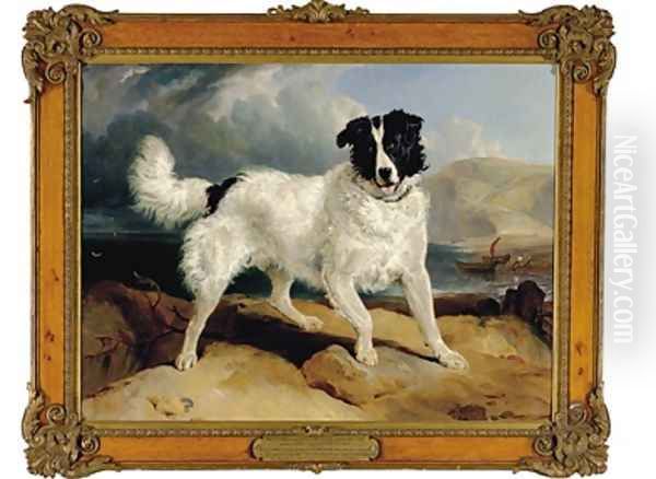 Neptune the Property of William Ellis Gosling Esq Oil Painting by Sir Edwin Henry Landseer