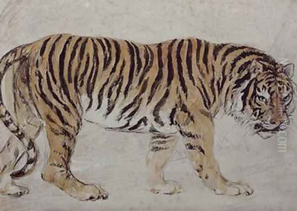 Tiger Oil Painting by Sir Edwin Henry Landseer