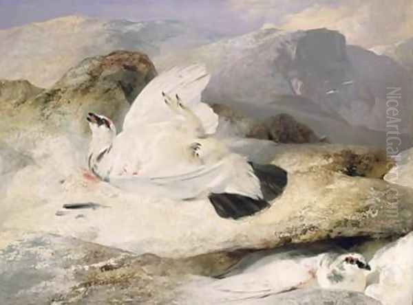 Ptarmigan Oil Painting by Sir Edwin Henry Landseer