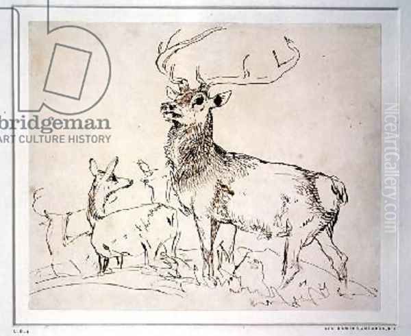 Stag and Does Oil Painting by Sir Edwin Henry Landseer