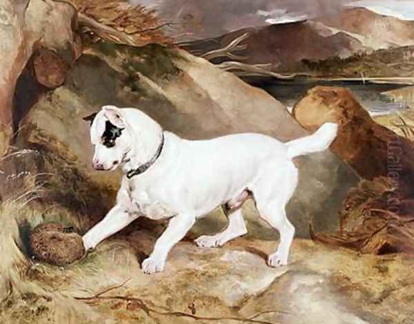 Jocko with a Hedgehog Oil Painting by Sir Edwin Henry Landseer