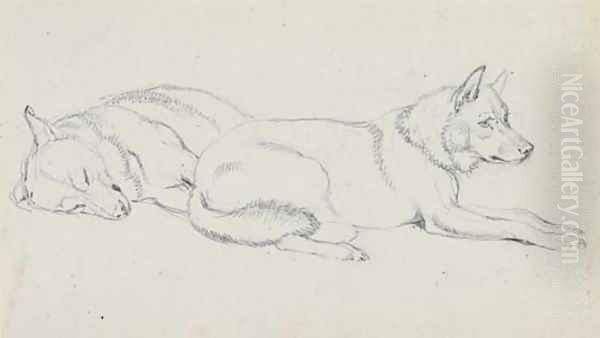 Study of huskies Oil Painting by Sir Edwin Henry Landseer