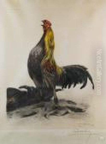 Coq Oil Painting by Leon Danchin