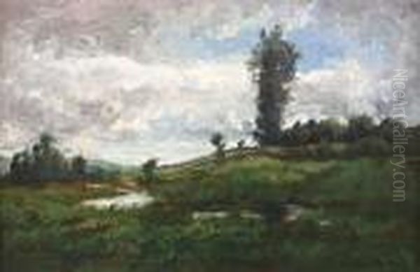 Ciel Couvert En Campagne Oil Painting by Karl Pierre Daubigny