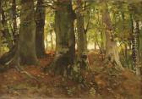 A Forest Oil Painting by Theophile Emile Achille De Bock