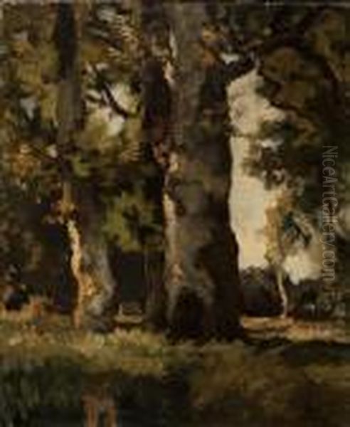 Trees Along The Water's Edge Oil Painting by Theophile Emile Achille De Bock