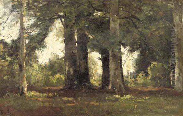 A Forest Oil Painting by Theophile Emile Achille De Bock